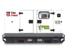 Газовый генератор Tide Power TLP313G в кожухе - фото Газовый генератор Tide Power TLP313G в кожухе - фото