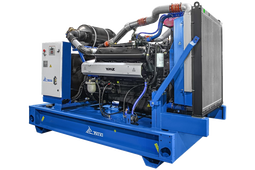 Дизельный генератор ТСС АД-200С-Т400-1РМ2 (Engga) с АВР - фото