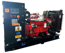 Газовый генератор Фрегат АГ-1000-Cummins - фото