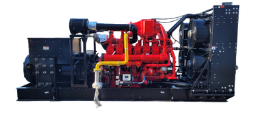 Газовый генератор CTG 1000CG - фото