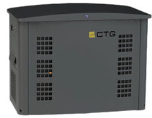 Газовый генератор CTG CG17000TSA с АВР - фото