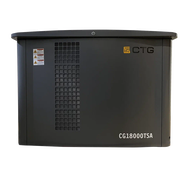 Газовый генератор CTG CG18000SA - фото