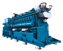 Газовый генератор CTG 1000MG с АВР - фото