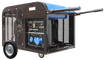 Бензиновый генератор ТСС SGG 10000 EH - фото