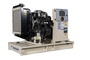 Дизельный генератор Teksan TJ66PE5C в контейнере с АВР - фото Дизельный генератор Teksan TJ66PE5C в контейнере с АВР - фото