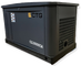Газовый генератор CTG CG10000SA - фото Газовый генератор CTG CG10000SA - фото