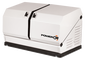 Газовый генератор POWERON GGC9000 - фото