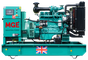Дизельный генератор MGE P50CS в контейнере с АВР - фото