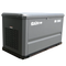 Газовый генератор EVOline GNG13500E - фото Газовый генератор EVOline GNG13500E - фото