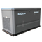 Газовый генератор EVOline GNG19000E - фото Газовый генератор EVOline GNG19000E - фото