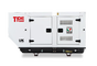 Дизельный генератор Tide Power FB200-LP в контейнере с АВР - фото Дизельный генератор Tide Power FB200-LP в контейнере с АВР - фото