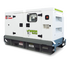 Газовый генератор Tide Power TLP28G в кожухе с АВР - фото Газовый генератор Tide Power TLP28G в кожухе с АВР - фото