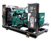 Газовый генератор Tide Power TLP563G в контейнере с АВР - фото Газовый генератор Tide Power TLP563G в контейнере с АВР - фото