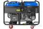 Бензиновый генератор ТСС SGG 12000EH3LA - фото