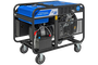 Бензиновый генератор ТСС SGG 17000EH3A с АВР - фото
