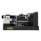 Газовый генератор Pramac GGW625G в кожухе - фото