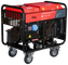 Дизельный генератор Fubag DS 11000 A ES в контейнере - фото