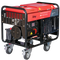 Дизельный генератор Fubag DS 14000 DA ES в контейнере с АВР - фото
