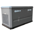 Газовый генератор EVOline GNG19000E с АВР - фото Газовый генератор EVOline GNG19000E с АВР - фото
