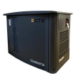 Газовый генератор CTG CG18000TSA - фото