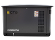Газовый генератор CTG CU25000SA - фото