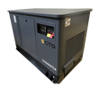 Газовый генератор CTG CU30000TSA - фото